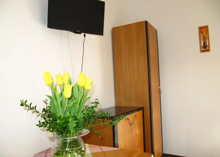 U Molu Guest house Horni Vltavice